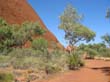 Ayers Rock - Uluru (8)